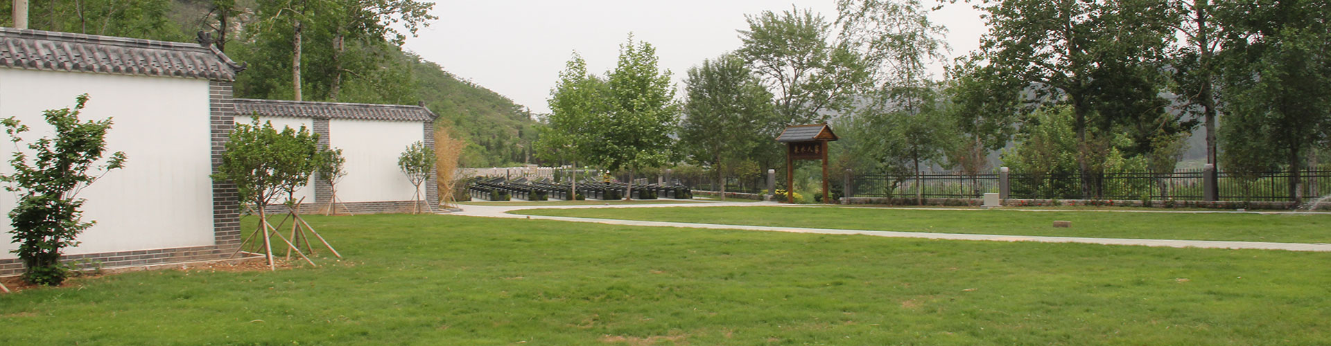 墓园新闻 墓园新闻