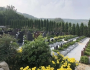 购买福寿园树葬需要哪些证件? 购买福寿园树葬需要哪些证件?