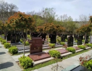 墓地的管理费是多少? 为什么要支付这笔费用? 墓地的管理费是多少? 为什么要支付这笔费用?