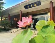 关于福寿园国际集团 关于福寿园国际集团