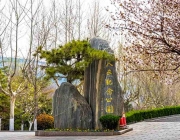 济南福寿园公墓-山东老战士纪念广场被评为国家AAA级旅游景区 济南福寿园公墓-山东老战士纪念广场被评为国家AAA级旅游景区