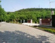 去墓地上坟扫墓时磕头磕几个 去墓地上坟扫墓时磕头磕几个