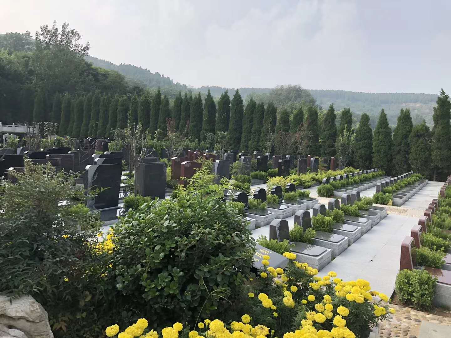 购买福寿园树葬需要哪些证件
